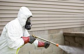Bed Bug Exterminating Olean NY