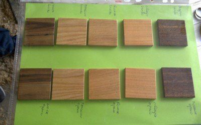 Campioni di legno