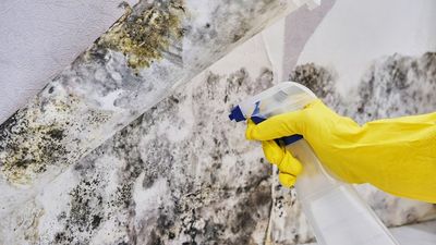 Spray Bottle — New York — Safe and Sound Property Services Spray Bottle — New York — Safe and Sound Property Services