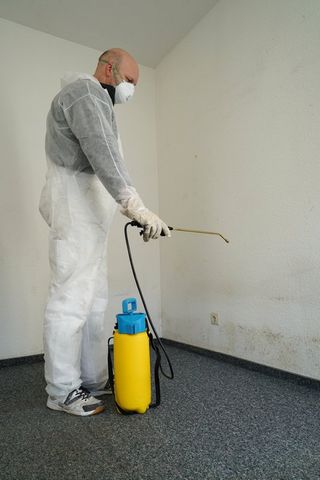 Mold Removal Specialist — New York — Safe and Sound Property Services Mold Removal Specialist — New York — Safe and Sound Property Services