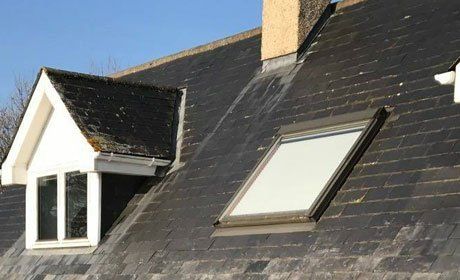 roof windows