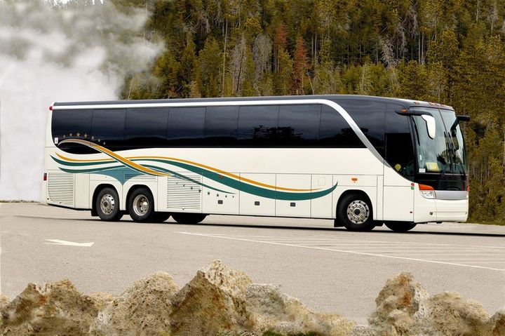 White bus image