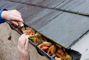 gutter cleaning