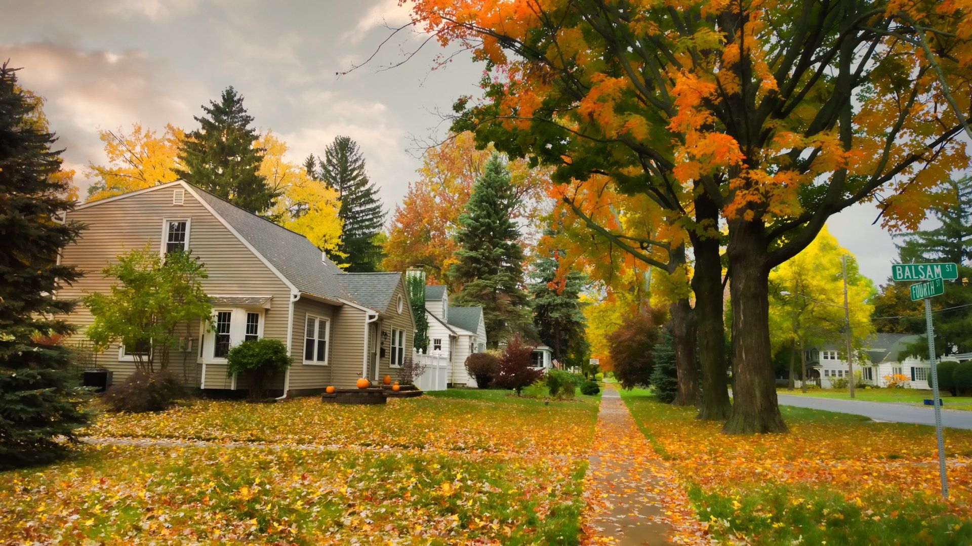 Tree Trimming — Residential Tree Services in Tustin, CA