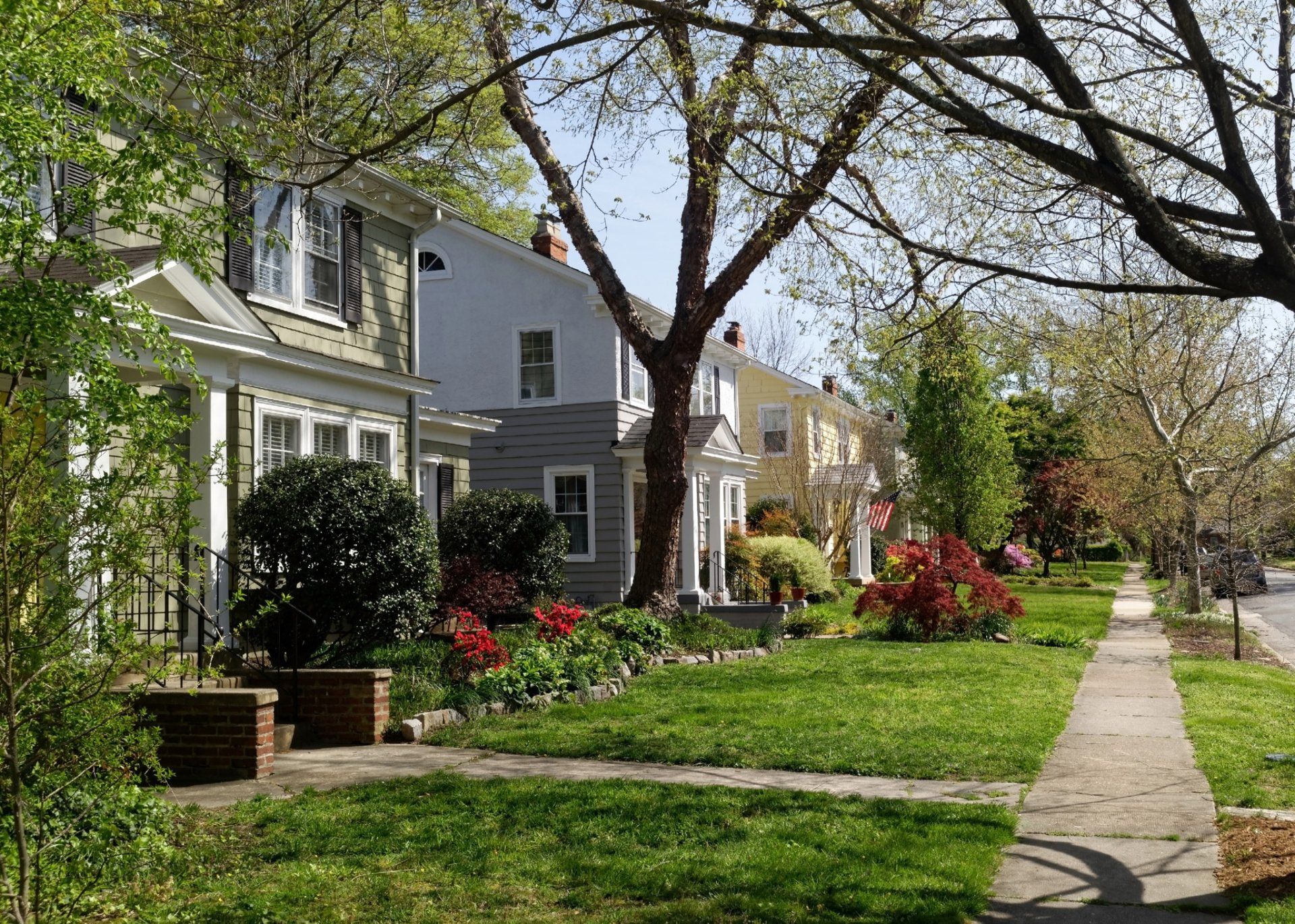 Residential Tree Services — Homeowner’s Associations in Tustin, CA