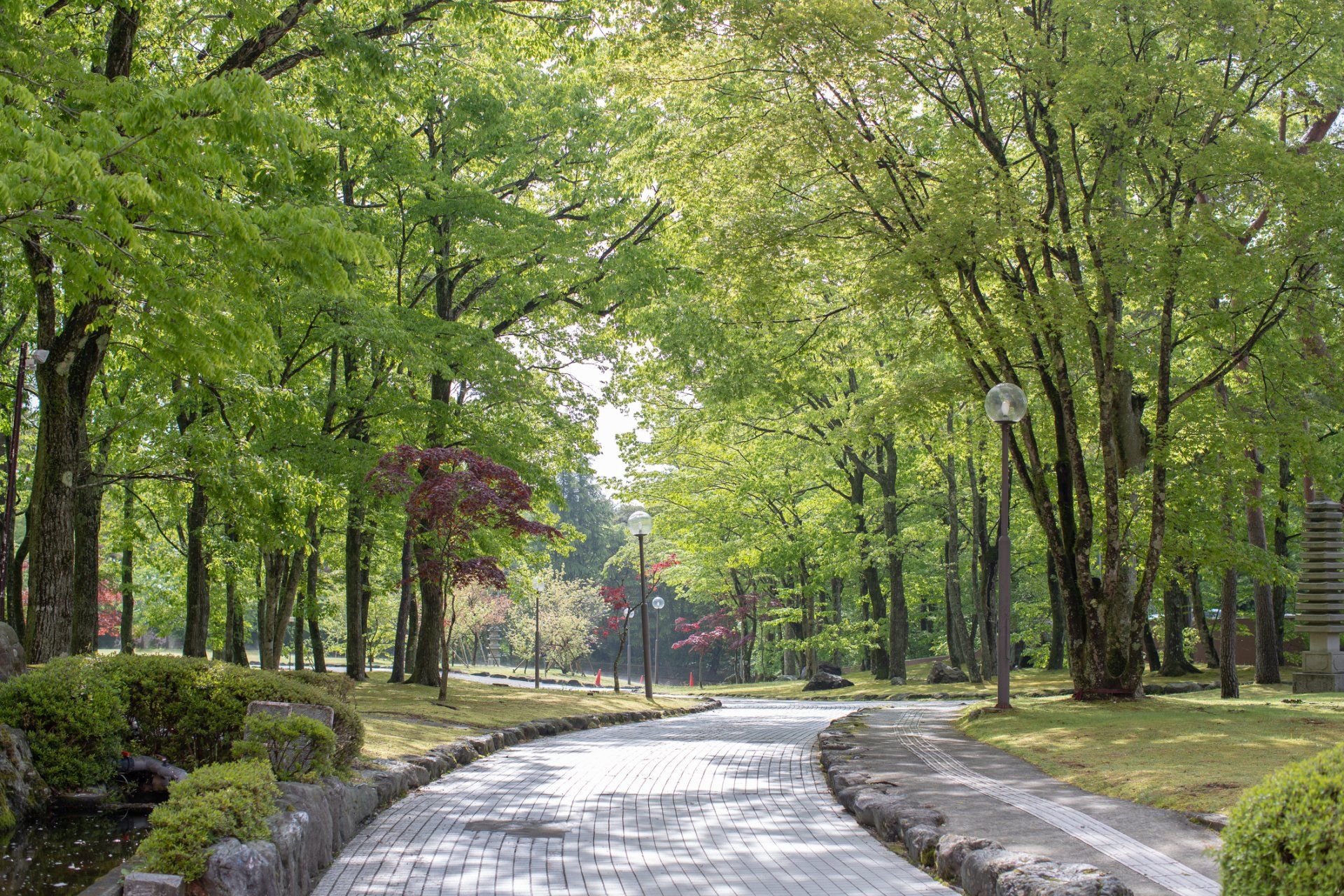 Commercial Tree Services — Parks in Tustin, CA