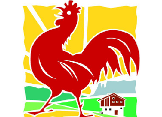 Roter Hahn Roter Hahn Urlaub auf dem Bauernhof Logo