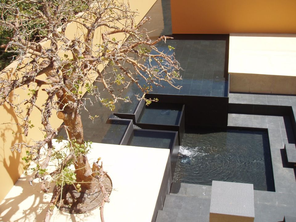 Koi Pond