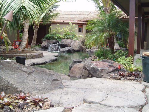 Koi pond