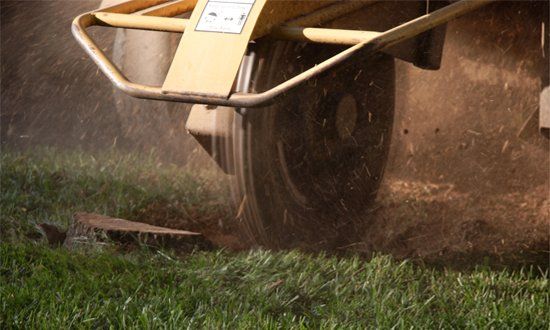 Stump Grinding — Removing a Felled Tree Stump in Shelby Township, MI Stump Grinding — Removing a Felled Tree Stump in Shelby Township, MI
