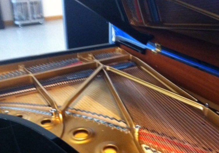 piano revit