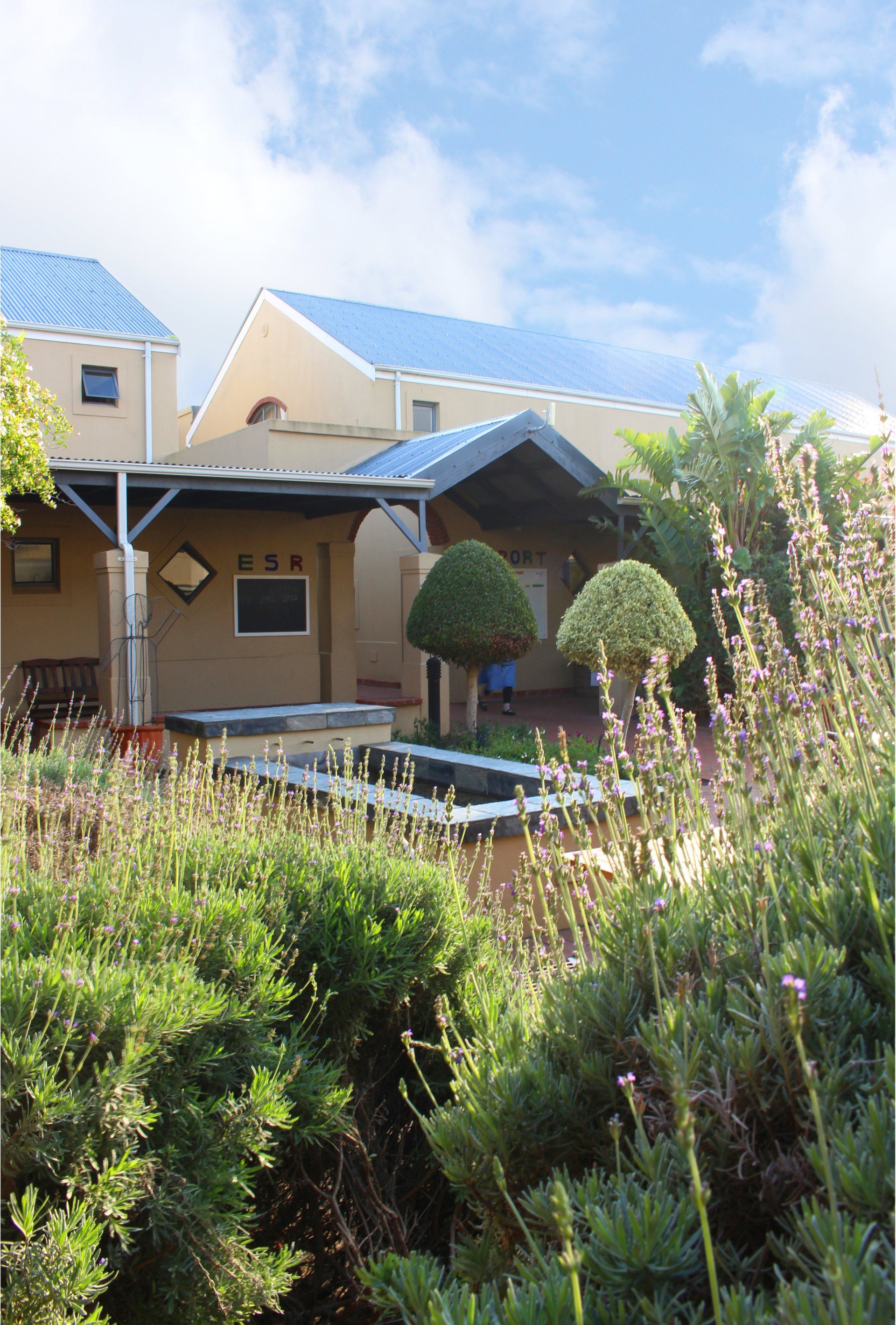A house with a blue roof is surrounded by bushes and flowers