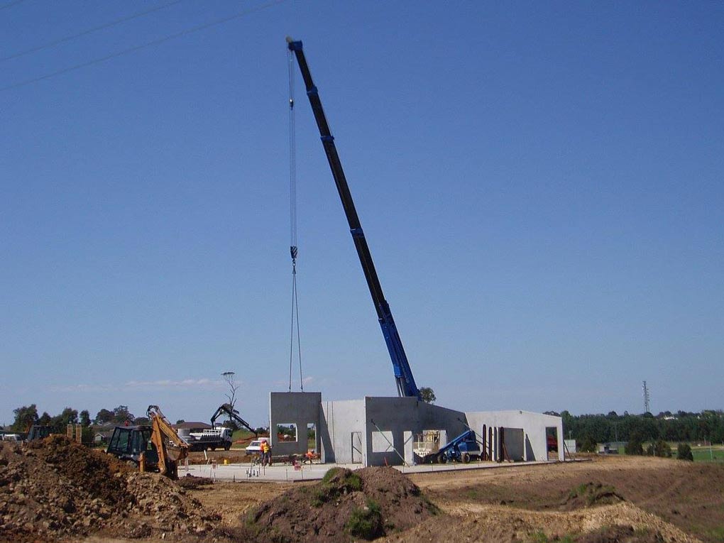 a blue crane