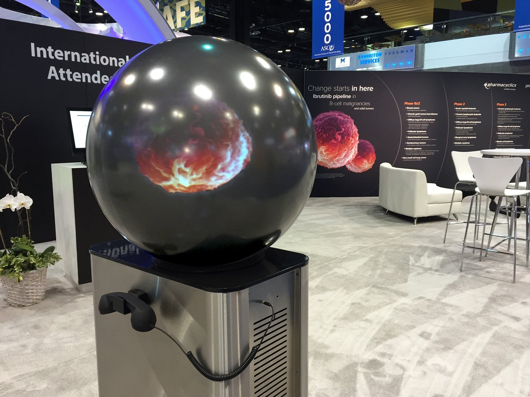 Pufferfish Interactive Display at Pharmaceutical Show.