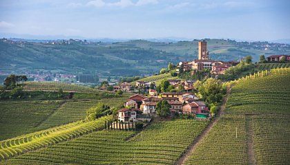 Langhe