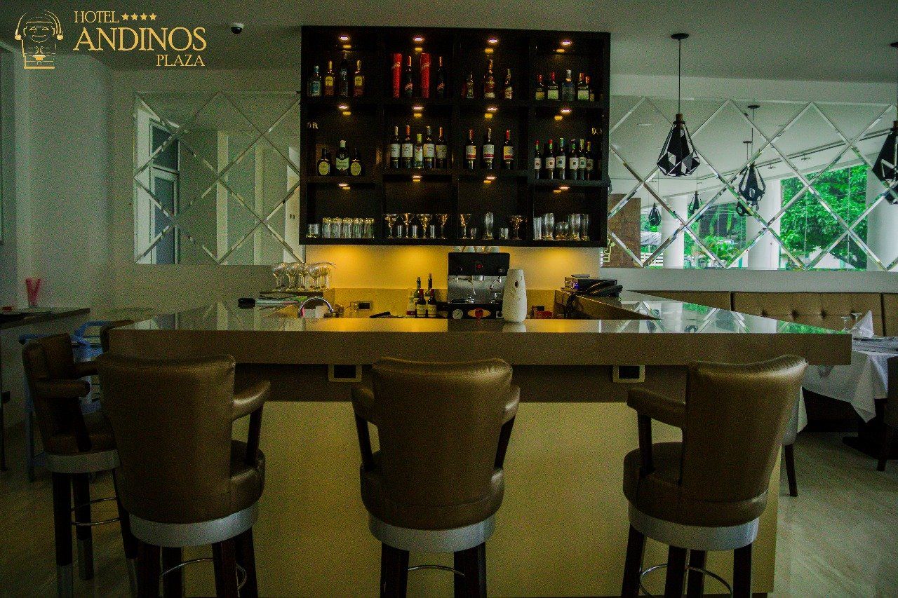 Bar Andinos Plaza