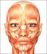 The Health Benefits of Myofascial Release Therapy