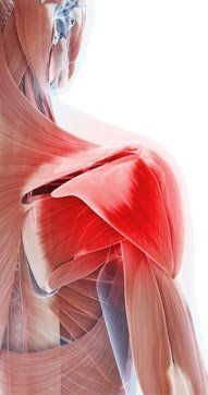 Shoulder Pain Massage Therapist Eugene Wood, Located in Wantagh NY 11793, and Massapequa NY 11758