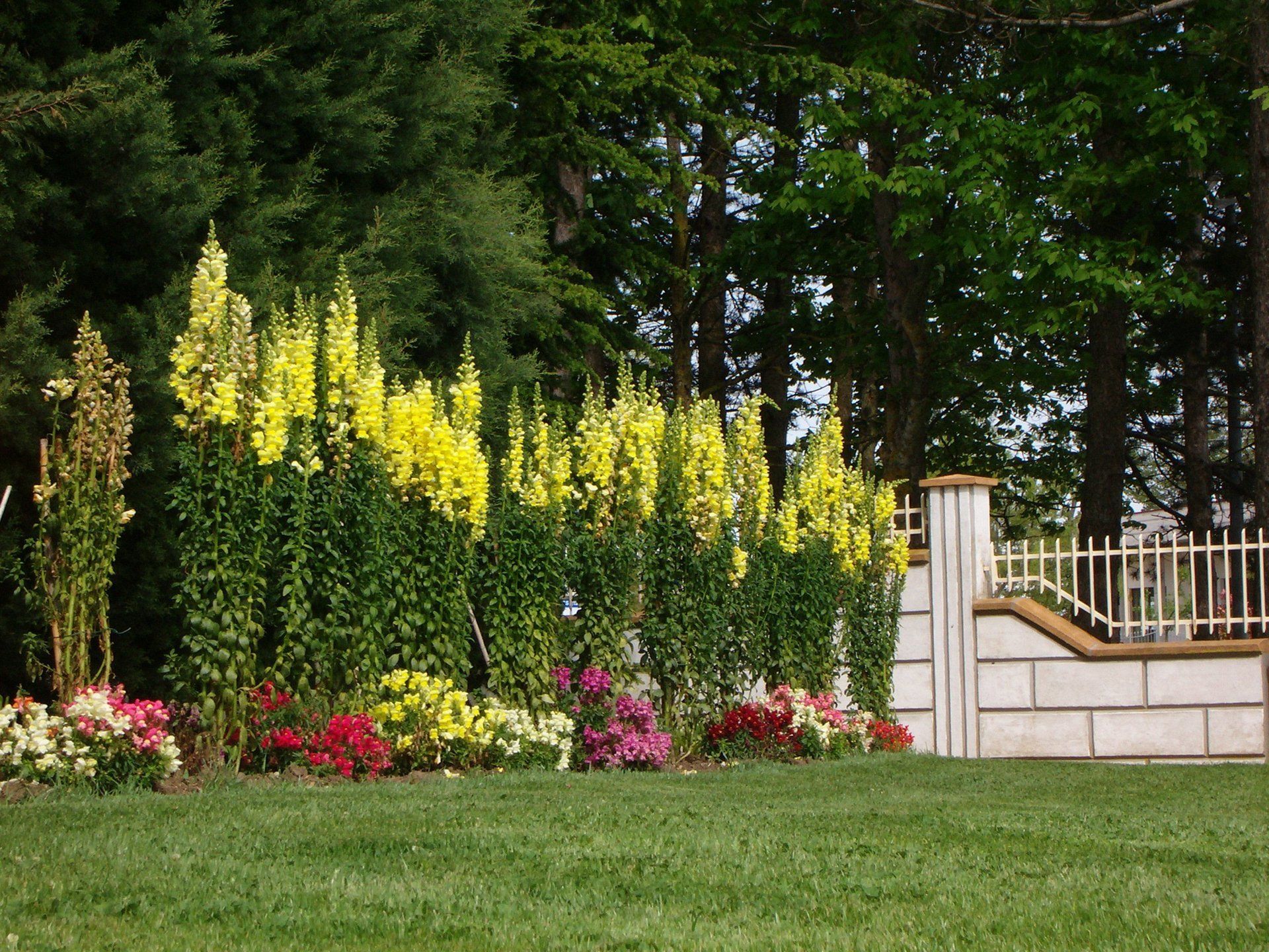 Giardino esterno dell'hotel