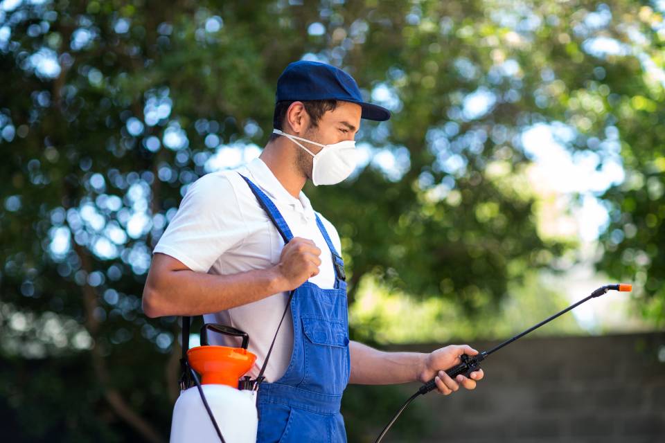 applicazione di prodotti disinfestanti
