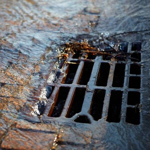 disinfestazione di tombino