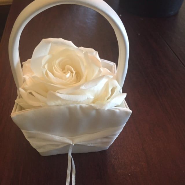 Blower in a basket