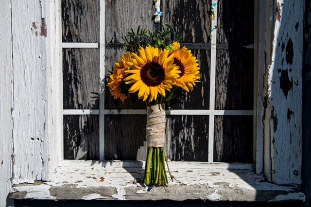 Bouquet of Sunflowers on Window Sill