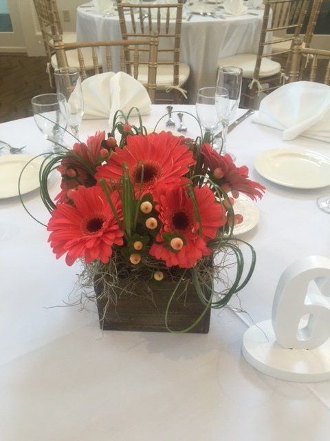 A vase filled with red flowers is on a table.
