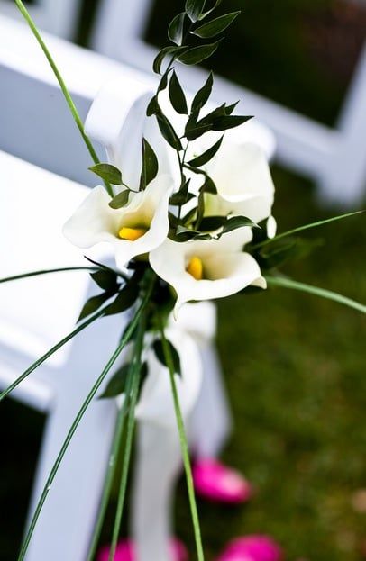 Lily Flower