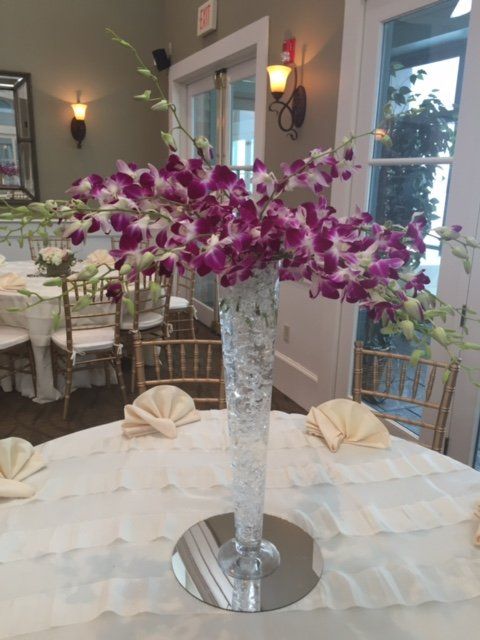 Orchids