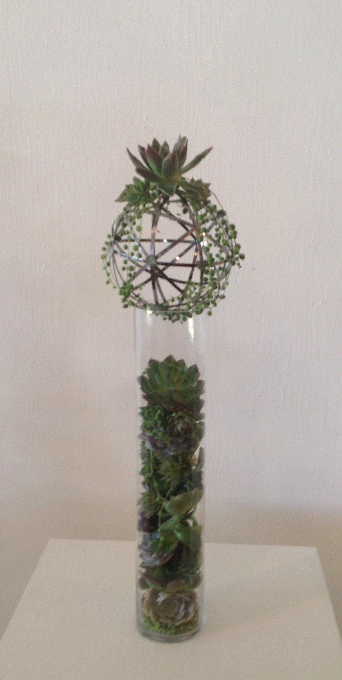 Succulents