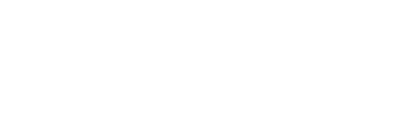 The Million Stone Logo