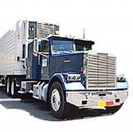 Transport Truck, Export Shipping in Tampa, FL Transport Truck, Export Shipping in Tampa, FL