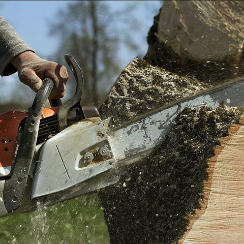 Cutting the Tree Stump with a Chainsaw — Arvada, CO — High Prairie Tree & Shrub, Inc. Cutting the Tree Stump with a Chainsaw — Arvada, CO — High Prairie Tree & Shrub, Inc.