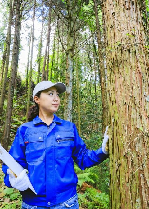 A Woman Diagnosing the Tree — Arvada, CO — High Prairie Tree & Shrub, Inc.
