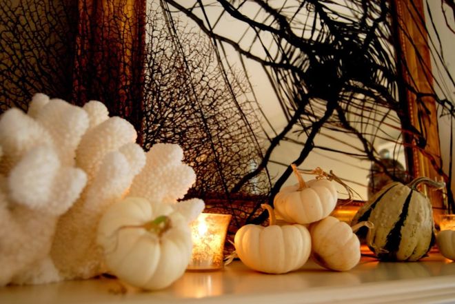 Garlic and Candle — Scottsdale, AZ — XanderLyn Salon Garlic and Candle — Scottsdale, AZ — XanderLyn Salon