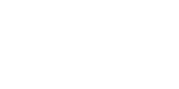Dream Catchers