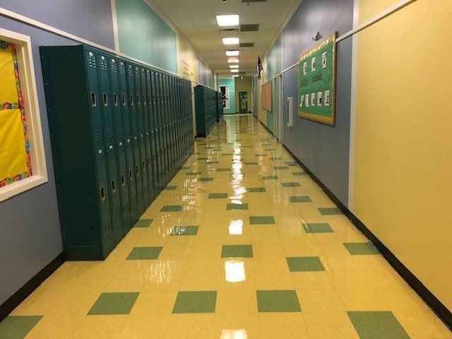 photo representing Hard surface floor cleaners