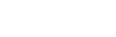 Dunlop Tires