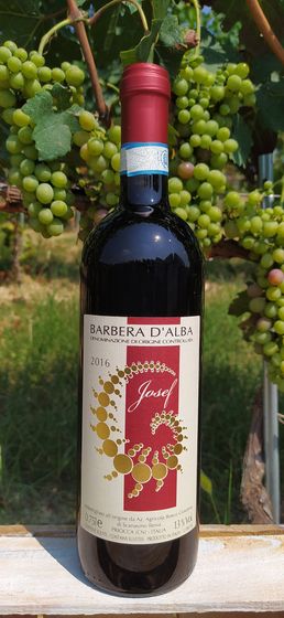 Barbera Josef