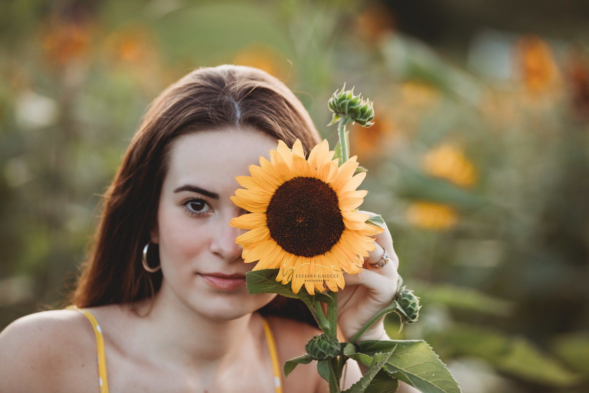Golden hour senior portrait session in a sunflower field at Dix Park in Raleigh, North Carolina

