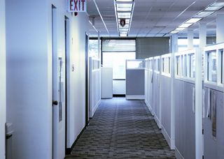 Office Cubicles — Glendale, AZ — CCR Furniture Upholstery Cleaners, Inc. Office Cubicles — Glendale, AZ — CCR Furniture Upholstery Cleaners, Inc.