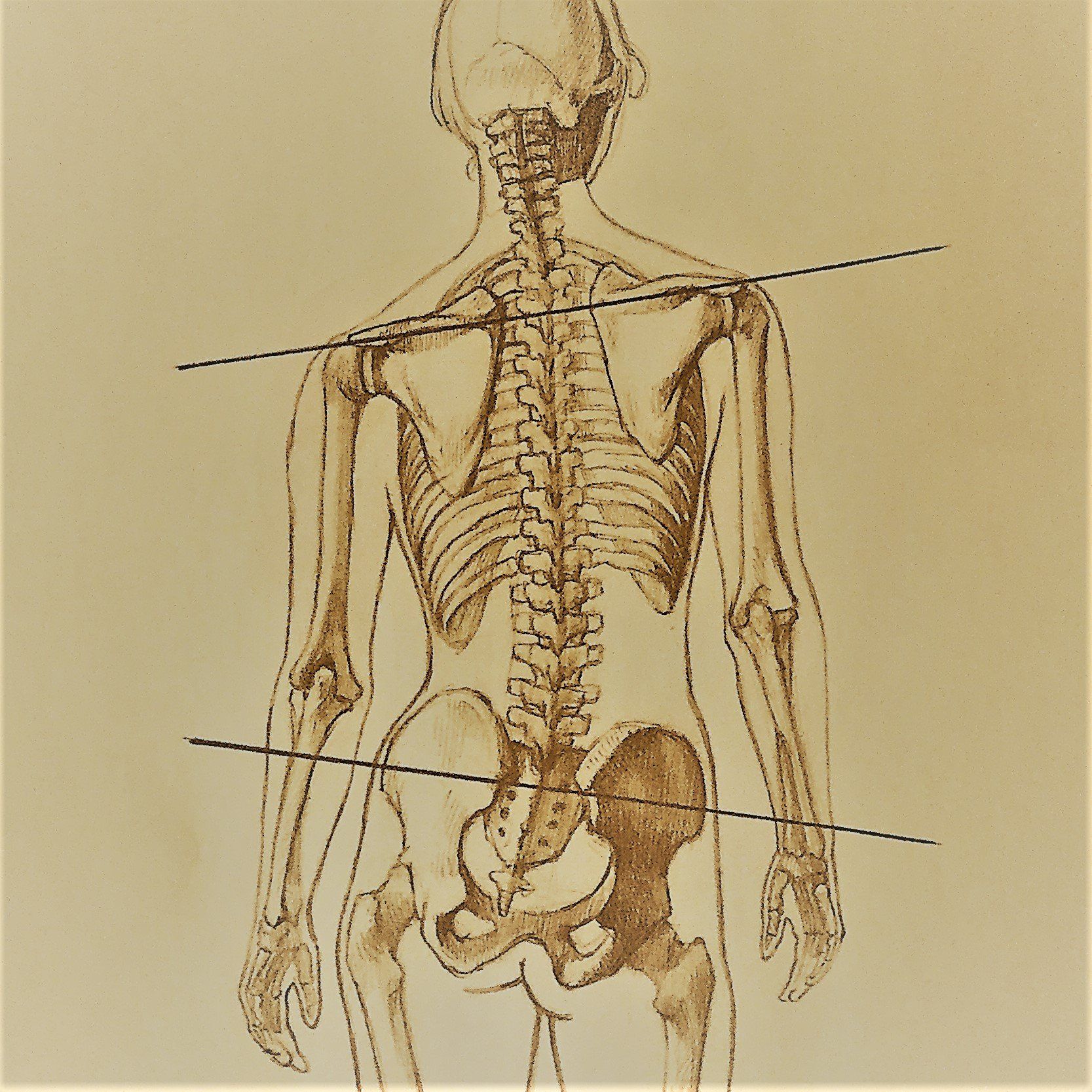 Neck & Lower Back Pain - Back Into Balance Family Chiropractic
