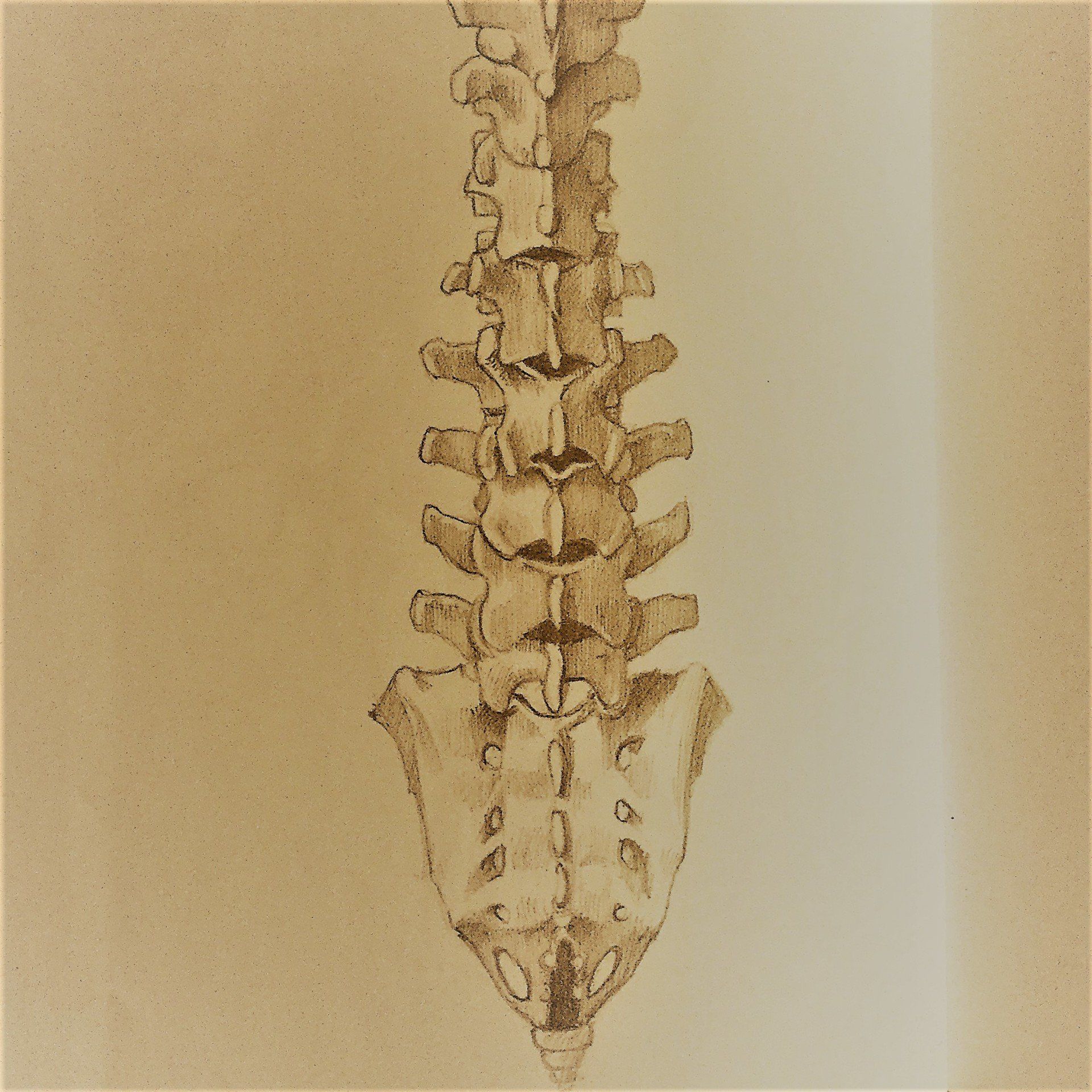 Back Pain - Back into Balance Family Chiropractic