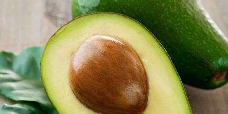 Avacados Avacados