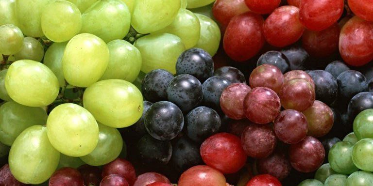 Fresh Grapes Fresh Grapes