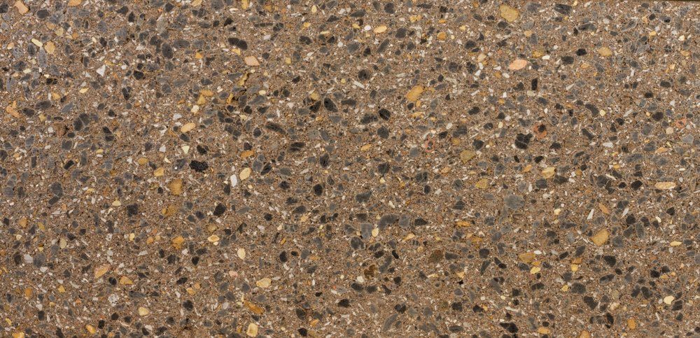 Umber Wheat Plus Face