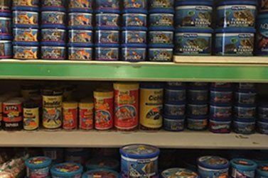 aquarium food