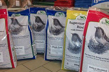 seeds for birds