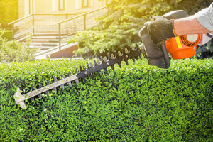 Hedge cutting